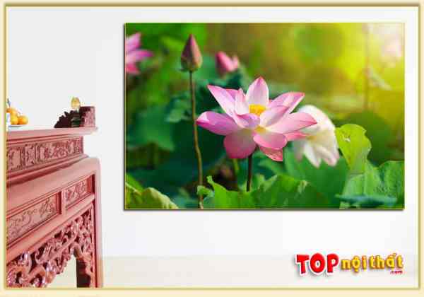 Tranh tráng gương bông hoa sen đẹp phòng thờ TraTop-3187